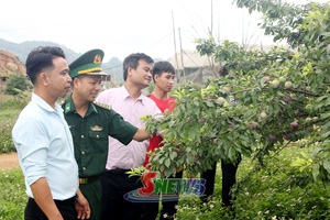 'Phát triển nông nghiệp gắn với nâng cao năng suất, chất lượng sản phẩm