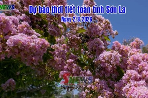 'Dự báo thời tiết toàn tỉnh Sơn La ngày 2/8/2026