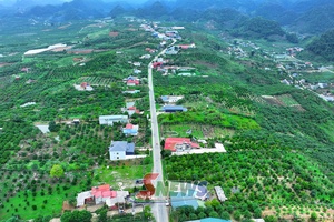 'Chế biến sâu - nâng cao giá trị nông sản Sơn La