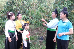 'Lan tỏa mô hình "5 không, 3 sạch"