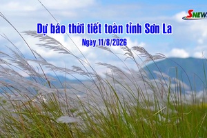 'Dự báo thời tiết toàn tỉnh Sơn La ngày 11/8/2026