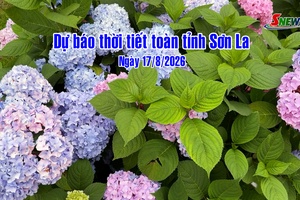 'Dự báo thời tiết toàn tỉnh Sơn La ngày 17/8/2026