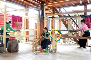 Phát huy vai trò Hợp tác xã do phụ nữ làm chủ