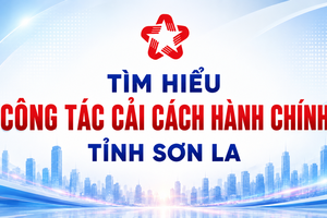 'Thể lệ cuộc thi trực tuyến “Tìm hiểu công tác cải cách hành chính tỉnh Sơn La” năm 2026