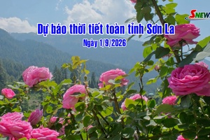 'Dự báo thời tiết toàn tỉnh Sơn La ngày 1/9/2026