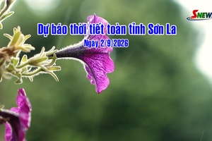 'Dự báo thời tiết toàn tỉnh Sơn La ngày 2/9/2026