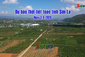 'Dự báo thời tiết toàn tỉnh Sơn La ngày 3/9/2026