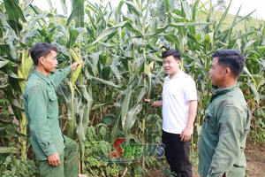 'Dân vận khéo nâng cao đời sống nhân dân