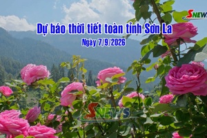 'Dự báo thời tiết toàn tỉnh Sơn La ngày 7/9/2026