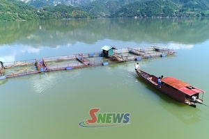 'Sức sống mới ở Tân Phong