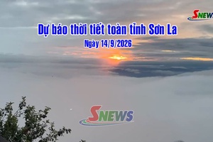 'Dự báo thời tiết toàn tỉnh Sơn La ngày 14/9/2026

