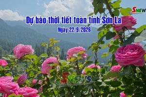 'Dự báo thời tiết toàn tỉnh Sơn La ngày 22/9/2026