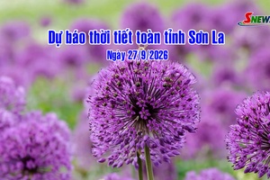 'Dự báo thời tiết toàn tỉnh Sơn La ngày 27/9/2026