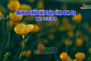 'Dự báo thời tiết toàn tỉnh Sơn La ngày 28/9/2026