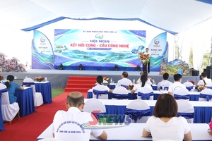 'Kết nối cung - cầu công nghệ và thị trường