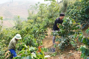 'Đổi mới phương thức lãnh đạo - tạo sức bật vùng cao
