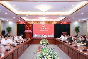 Vận hành hiệu quả các trường học sau sắp xếp, đẩy nhanh tiến độ xây dựng trường nội trú biên giới