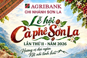 Agribank Sơn La – Tiếp sức cho Arabica vươn tầm thế giới