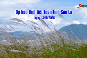 'Dự báo thời tiết toàn tỉnh Sơn La ngày 13/10/2026