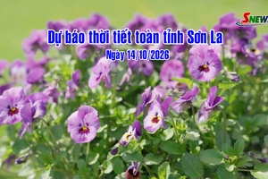 'Dự báo thời tiết toàn tỉnh Sơn La ngày 14/10/2026