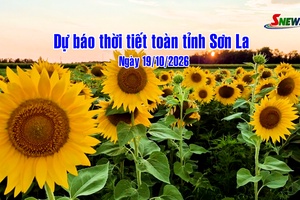 'Dự báo thời tiết toàn tỉnh Sơn La ngày 19/10/2026