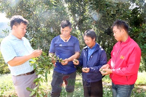 'Chính sách mới - tạo động lực cho người có uy tín