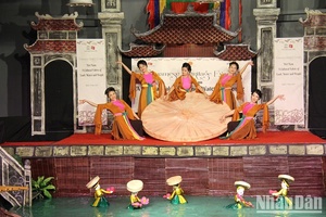 Vietnamese cultural heritages introduced to UNESCO community
