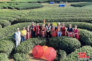 Tourism "ambassadors" in Moc Chau