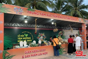 Son La attends Summer Festival - Wow Da Nang 2023