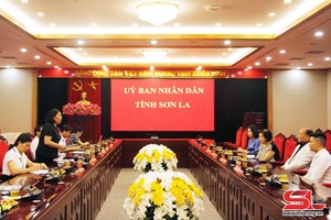 Japan-Vietnam exchange association delegation visits Son La 