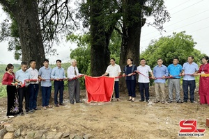 Muong La has 32 national heritage trees