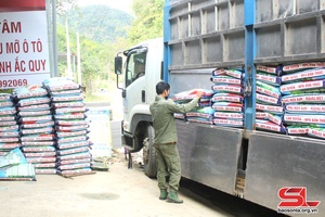 Goods transport in Son La province estimated at over 645,000 tonnes