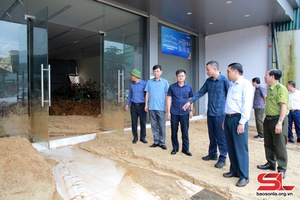 Deputy Minister of Agriculture and Rural Development inspects natural disaster control in Son La 