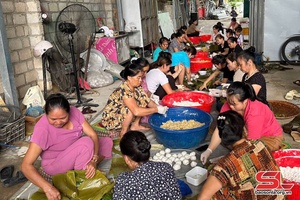 'Phu Yen people wrap 2,000 rice cakes for flood-affected victims