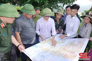 Provincial official inspects landslide situation, resettlement in Song Pe commune