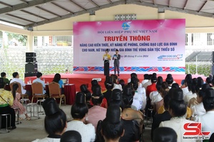 Efforts made to raise public awareness of domestic violence control in Muoi Noi commune