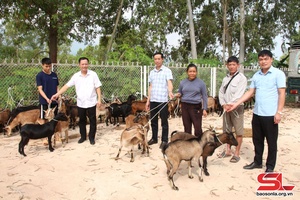 'Provincial Party Committee Office presents breeding goats to poor households in Muong Sai commune