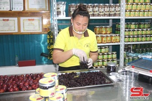 'Yen Chau district boosts agricultural product value