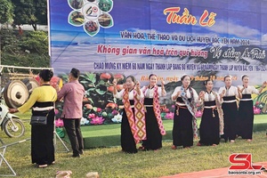 Son La promotes traditional cultural values of ethnic minorities 