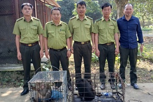 'Van Ho strengthens management of wildlife breeding facilities