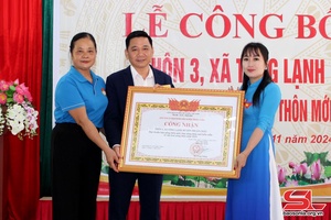 Tong Lanh commune’s Village 3 recognised as model new style rural area 