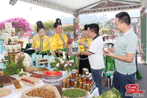 'Son La farm produce ready to serve Lunar New Year