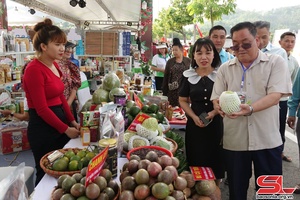 'Son La province develops 308 safe food supply chains