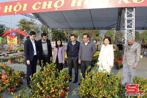 Son La city’s spring flower fair opens 