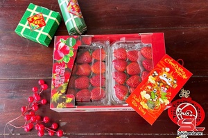 Strawberry season in Moc Chau