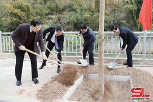 Tree planting campaign in Year of the Snake launched