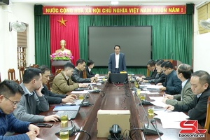 Phó Chủ tịch UBND tỉnh kiểm tra nẳng huyện Mai Sơn