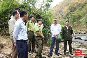 Provincial Vice Chairman inspects forest protection, fire prevention in Mai Son, Song Ma