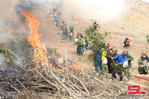 Forest fire response drill held in Muong Va commune