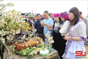 Various activities at Hawthorn Flower Festival excite locals, visitors